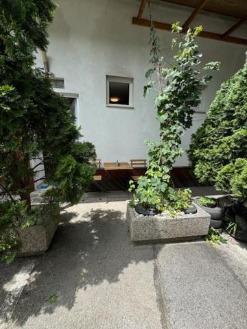Appartamento Cozy Flat Near Tivoli Park With Free Parking Lubiana Esterno foto